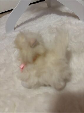 Kitty kitty kitten 1990s
Mattel Cream Plush Kitten with Pink Bow
